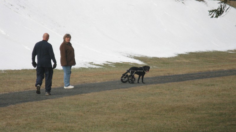 Click to view full-size image