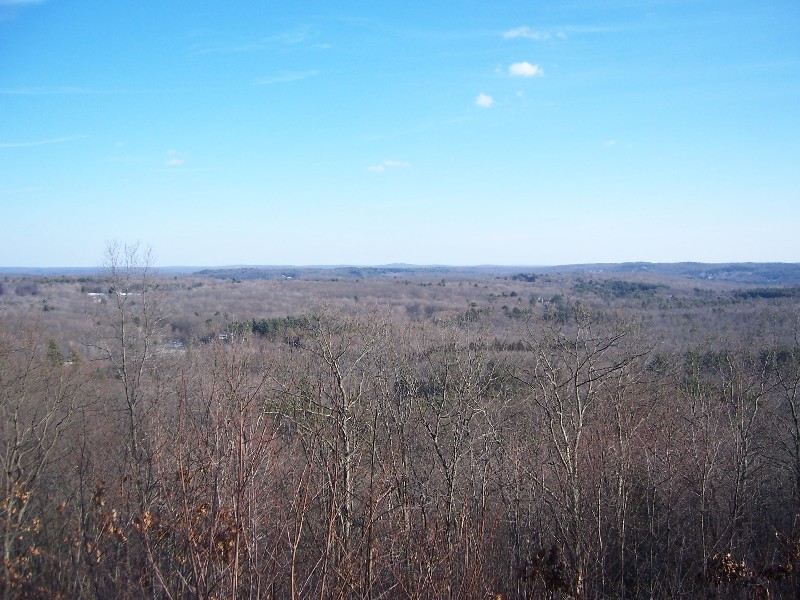 Click to view full-size image