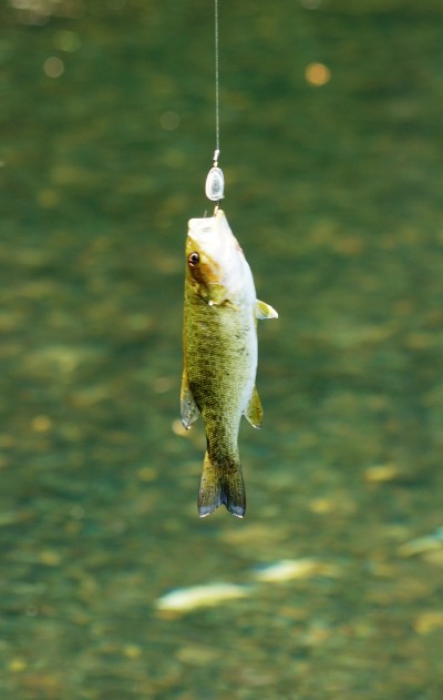 Click to view full-size image