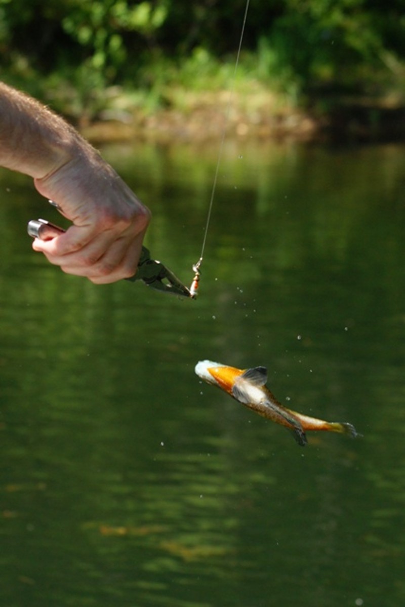 Click to view full-size image