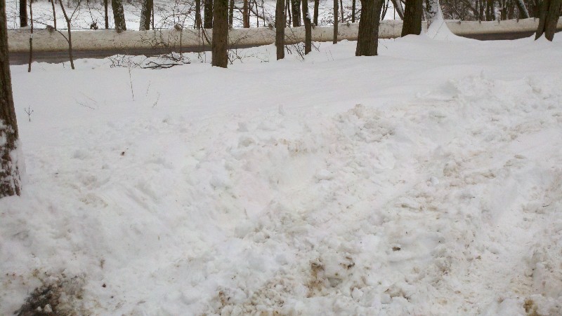 Click to view full-size image