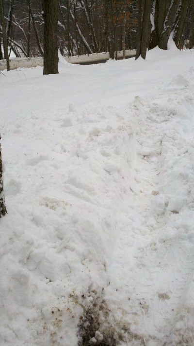 Click to view full-size image