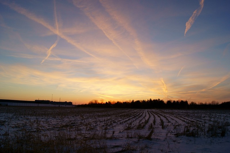 Click to view full-size image