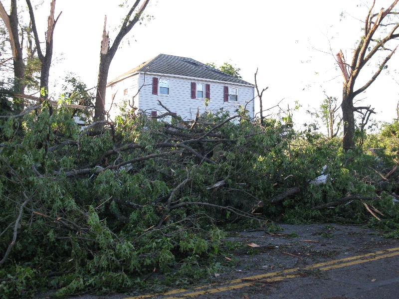 Click to view full-size image