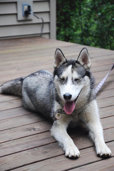 Click to view full-size image