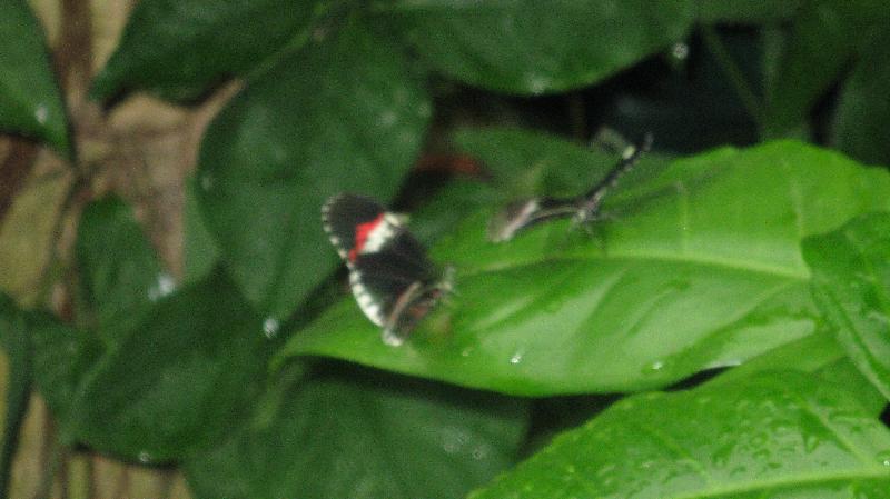 Click to view full-size image