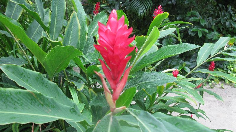 Click to view full-size image