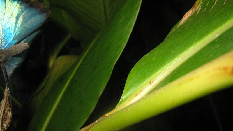 Click to view full-size image