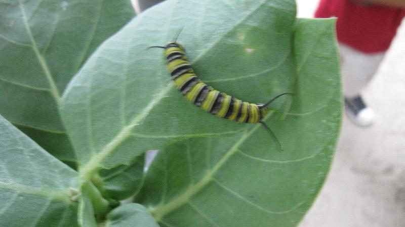 Click to view full-size image