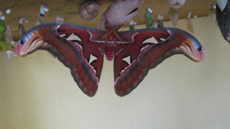 Click to view full-size image