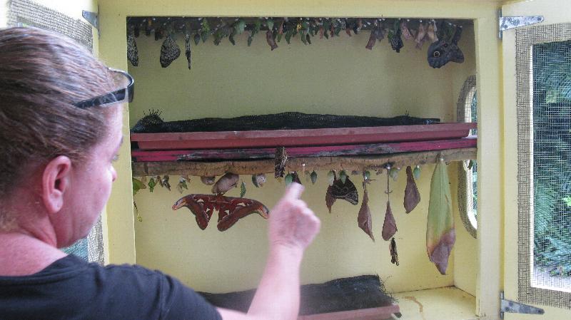 Click to view full-size image