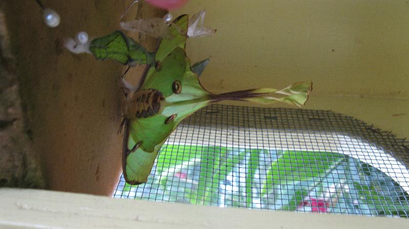 Click to view full-size image