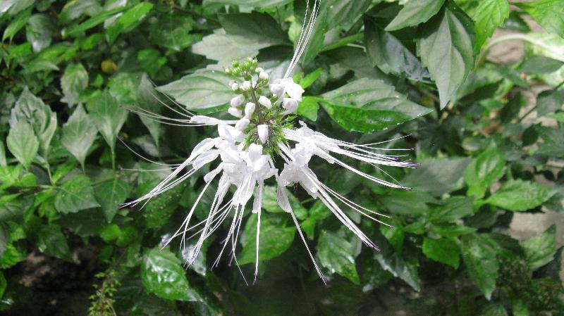 Click to view full-size image