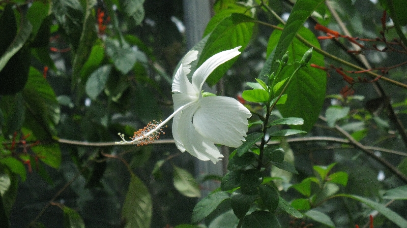 Click to view full-size image