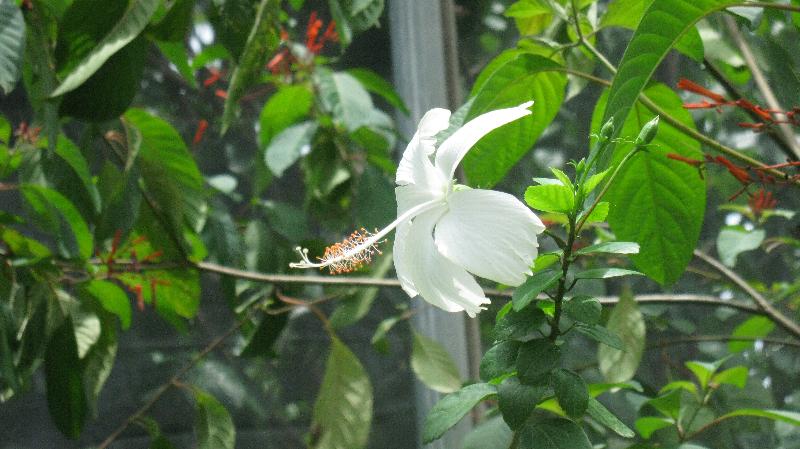 Click to view full-size image