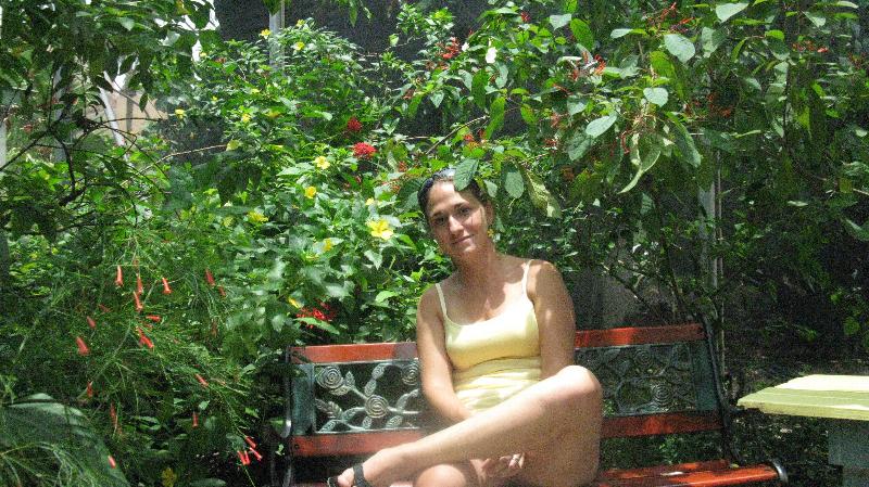 Click to view full-size image