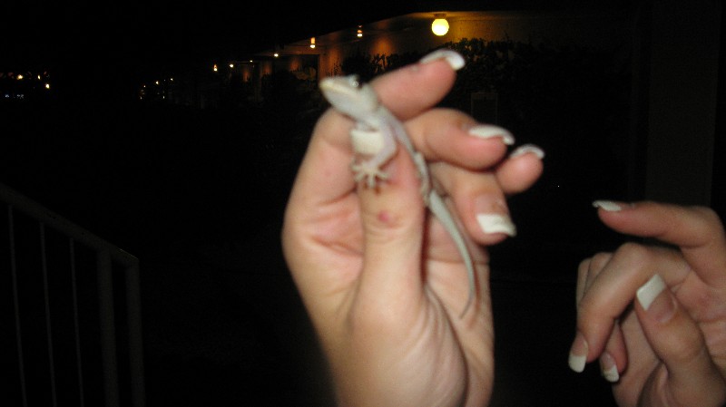 Click to view full-size image