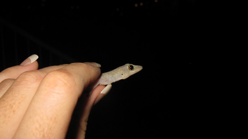 Click to view full-size image