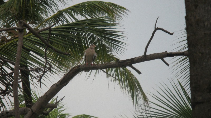 Click to view full-size image