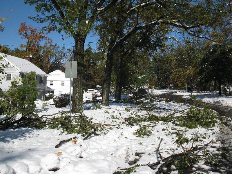 Click to view full-size image