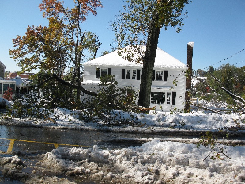 Click to view full-size image