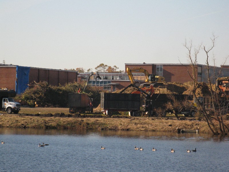 Click to view full-size image