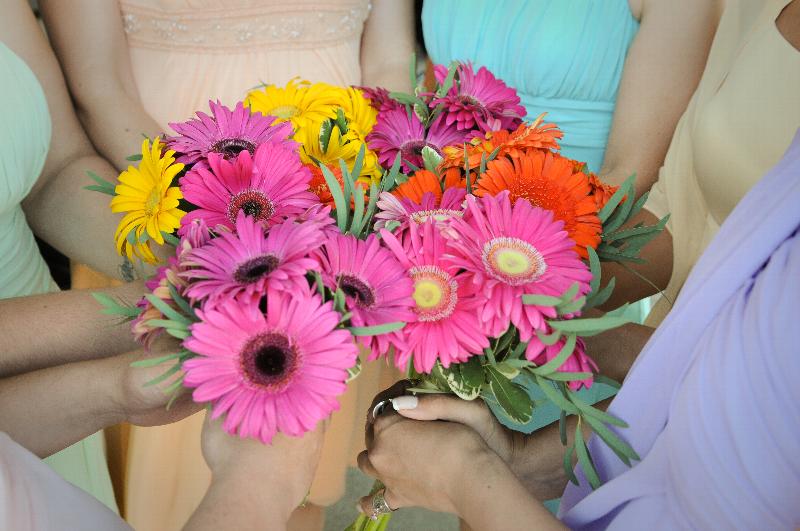 Click to view full-size image