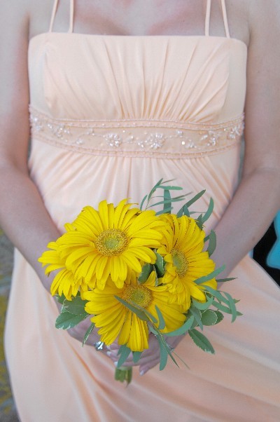 Click to view full-size image