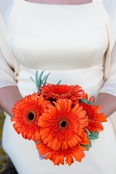 Click to view full-size image