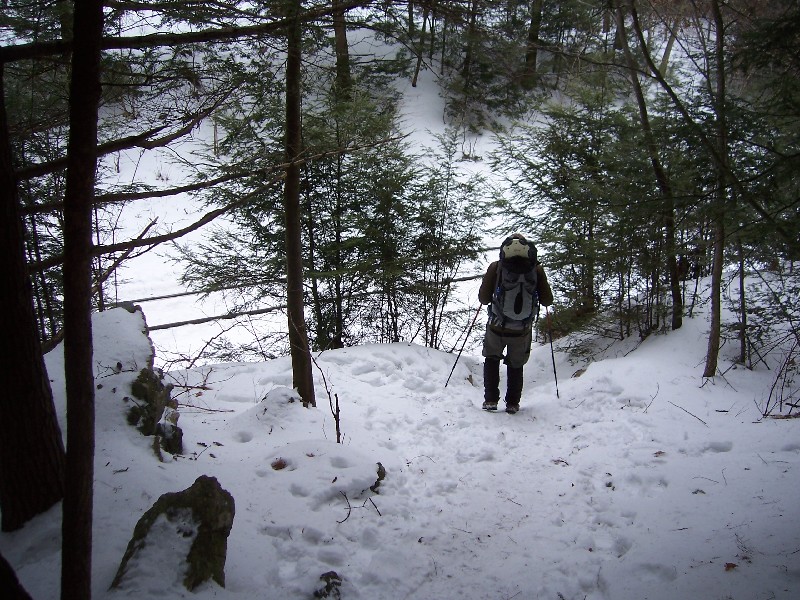 Click to view full-size image