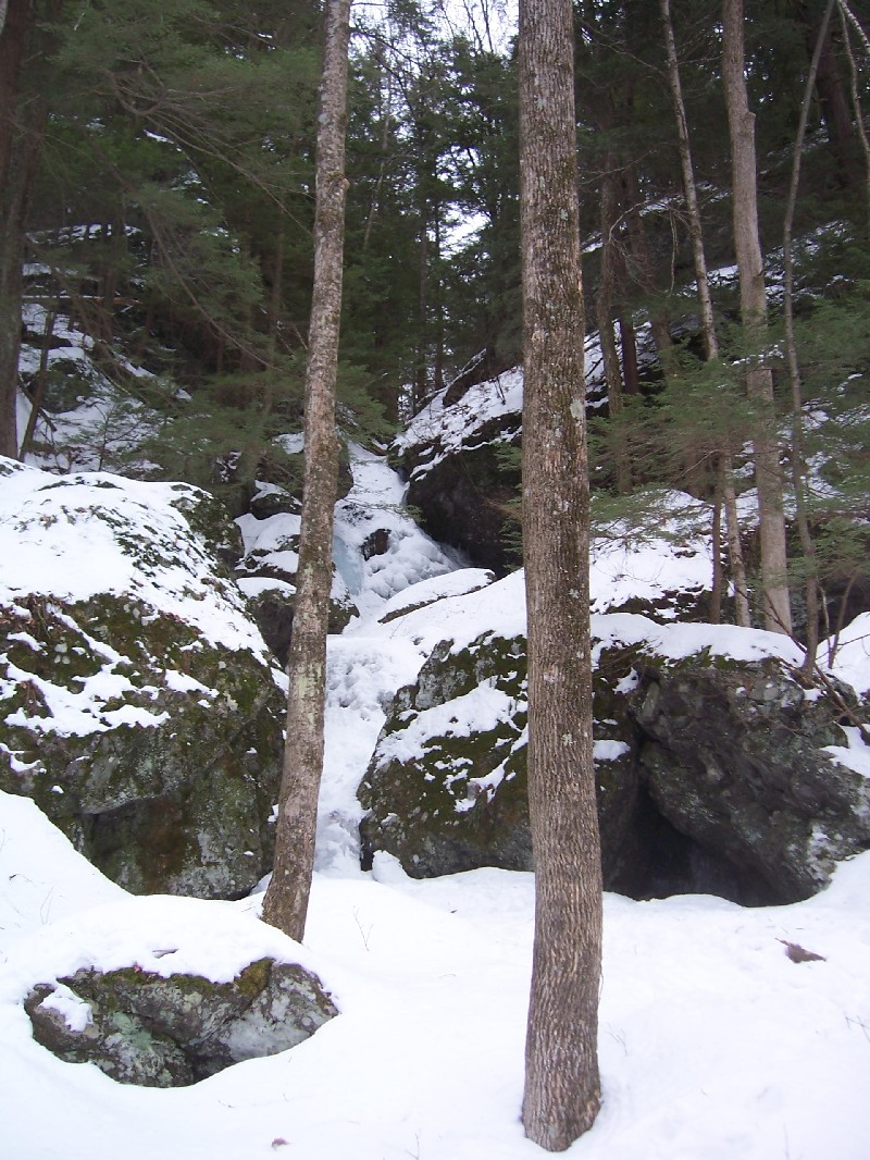 Click to view full-size image