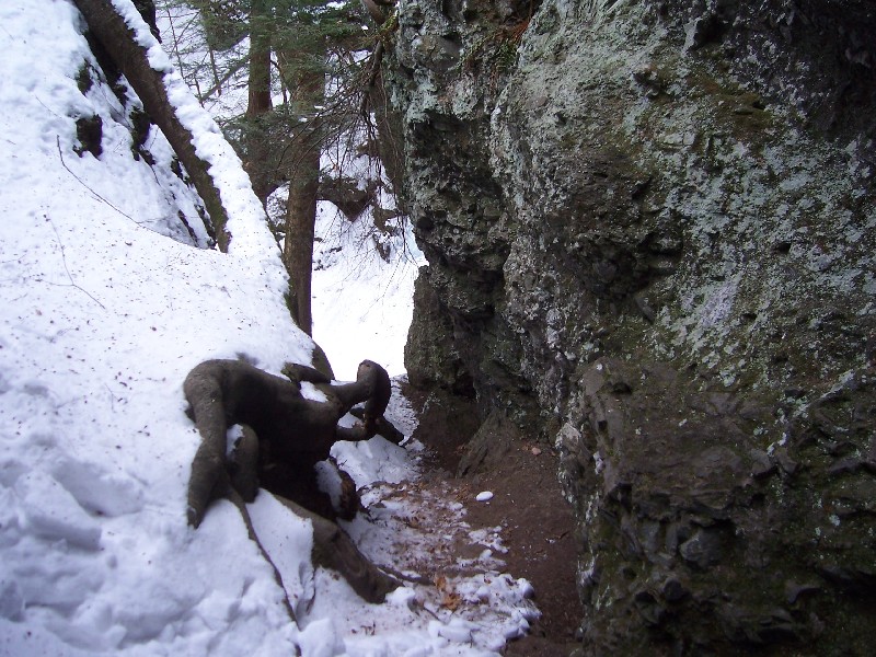 Click to view full-size image