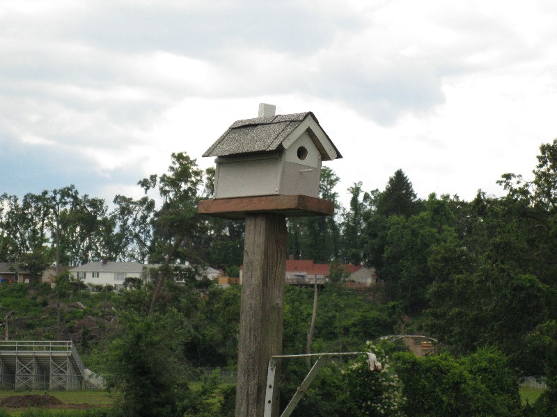 Click to view full-size image