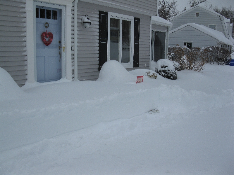 Click to view full-size image