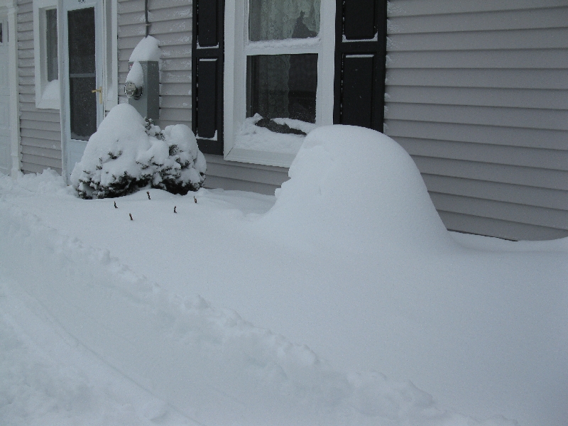 Click to view full-size image