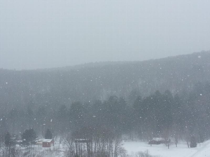 Click to view full-size image