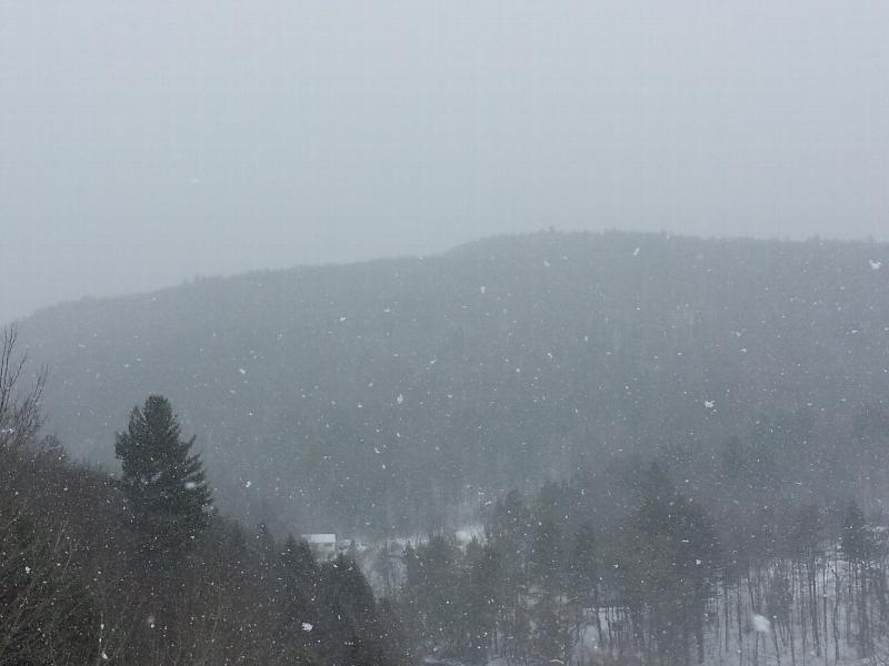 Click to view full-size image