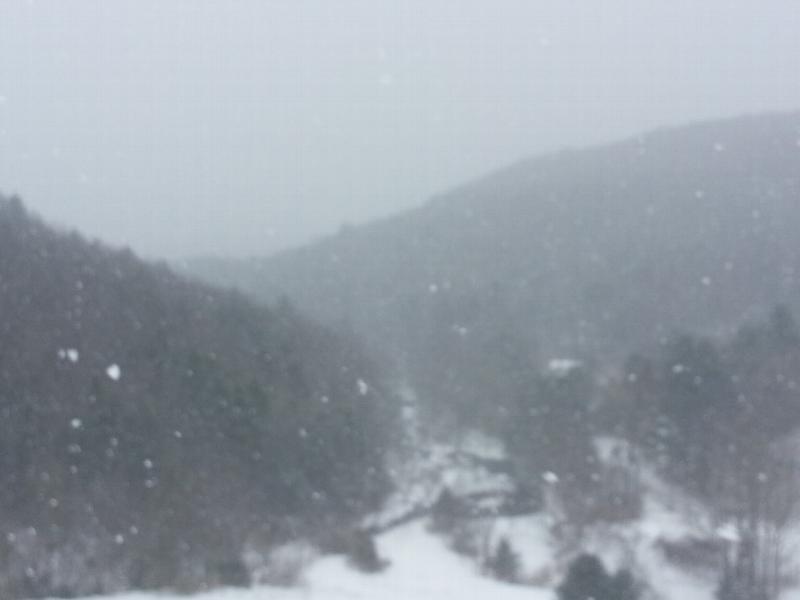 Click to view full-size image