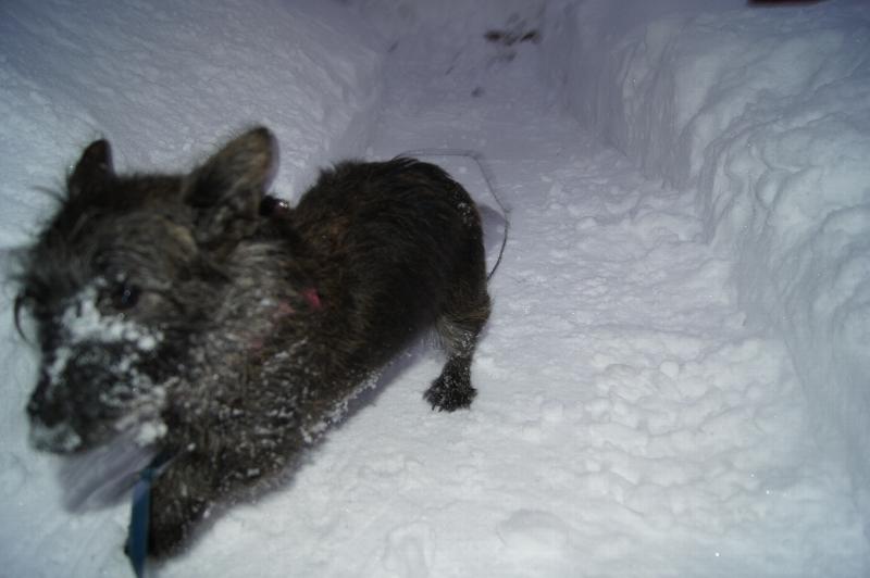 Click to view full-size image