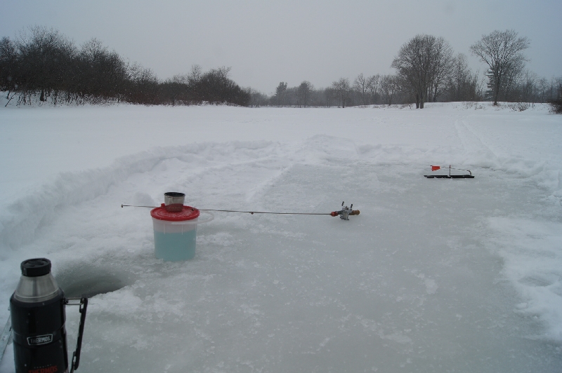 Click to view full-size image