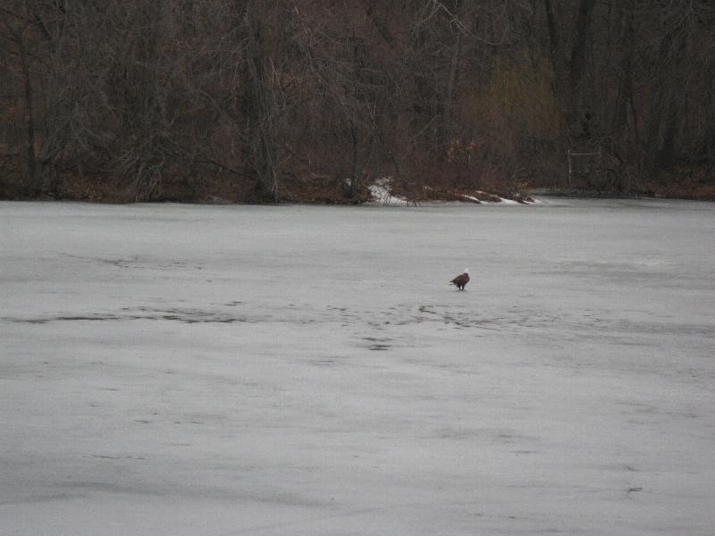 Click to view full-size image