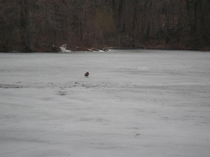 Click to view full-size image