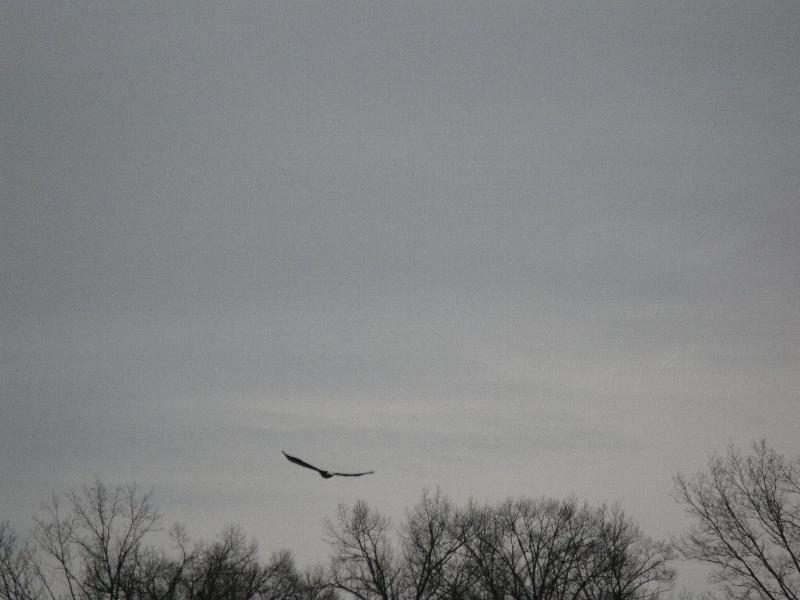 Click to view full-size image