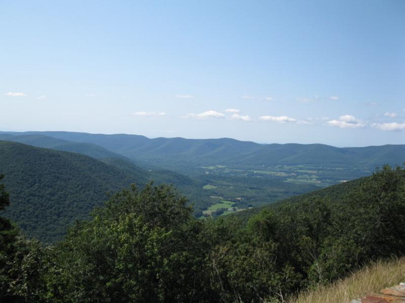 Click to view full-size image