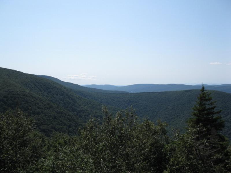 Click to view full-size image