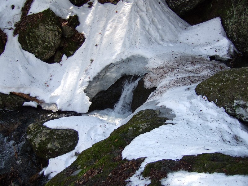 Click to view full-size image