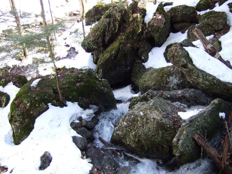 Click to view full-size image