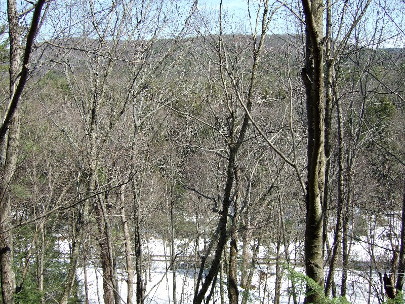 Click to view full-size image