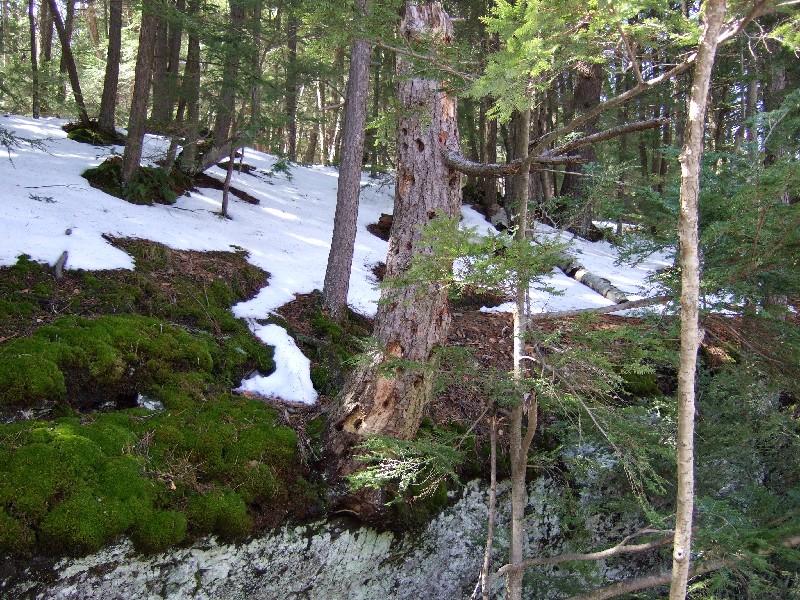 Click to view full-size image