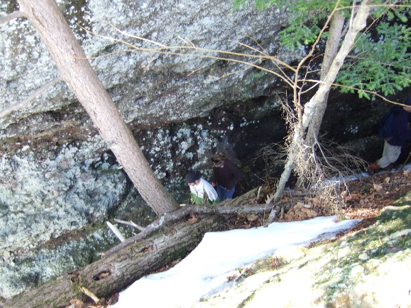 Click to view full-size image